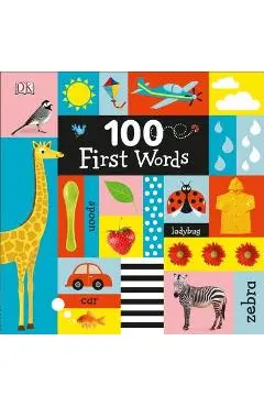 100 First Words - Dk