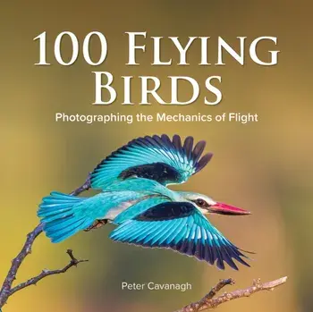 100 FLYING BIRDS, Hardback/PETER CAVANAGH