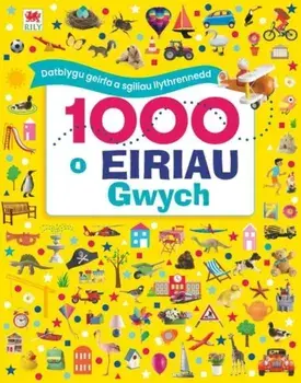 1000 o Eiriau Gwych, Hardback/Dawn Sirett