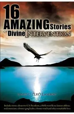 16 Amazing Stories of Divine Intervention - James L. Lambert