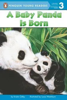 A Baby Panda Is Born, Paperback/Kristin Ostby
