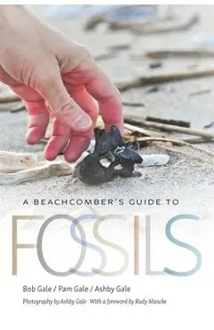 A Beachcomber's Guide to Fossils - Bob Gale