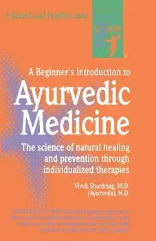 A Beginners Introduction to Ay, Paperback/Vivek Shanbhag