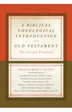 A Biblical-Theological Introduction to the Old Testament: The Gospel Promised - Miles V. Van Pelt