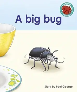 A big bug, Paperback/***