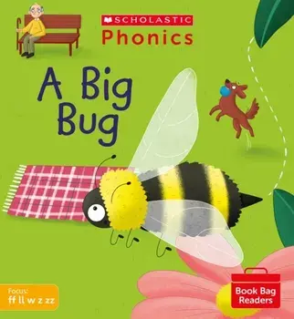 A Big Bug (Set 3), Paperback/Karra McFarlane