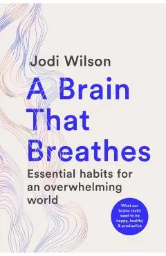 A Brain That Breathes: Essential Habits for an Overwhelming World What Our Brains Really Need to Be Happy, Healthy and Productive - Jodi Wilson