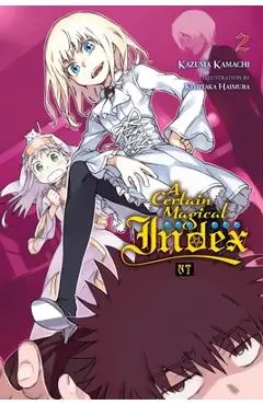 A Certain Magical Index Nt, Vol. 2 (Light Novel) - Kazuma Kamachi