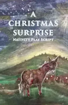 A Christmas Surprise: A Nativity Play Script For Children, Paperback/Jennifer Carter