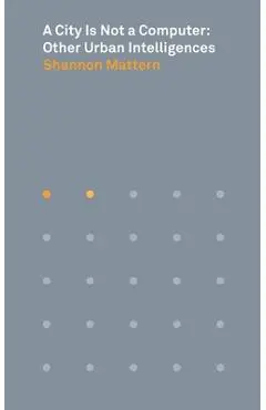 A City Is Not a Computer: Other Urban Intelligences - Shannon Mattern