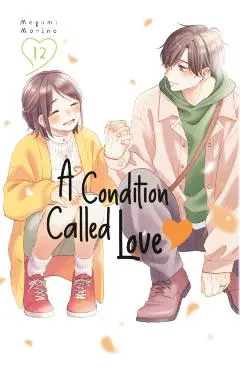 A Condition Called Love 12 - Megumi Morino