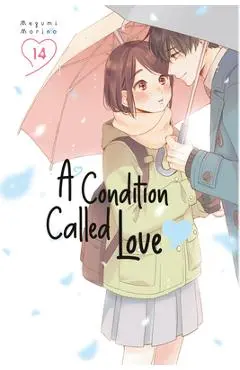 A Condition Called Love 14 - Megumi Morino
