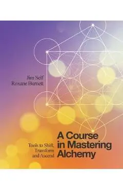 A Course in Mastering Alchemy: Tools to Shift, Transform and Ascend - Jim Self, Roxane Burnett