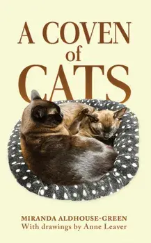 A Coven of Cats, Paperback/Miranda Aldhouse-Green