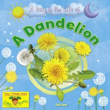 A Dandelion, Paperback/Ruth Owen