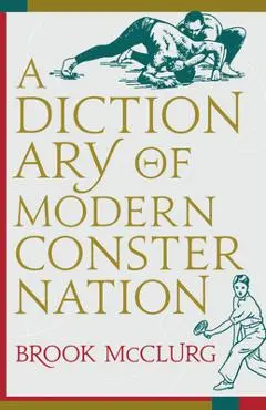 A Dictionary of Modern Consternation - Brook Mcclurg