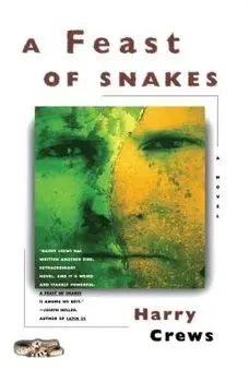 A Feast of Snakes, Paperback/Harry Crews