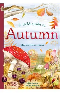 A Field Guide to Autumn: Play and Learn in Nature - Gabby Dawnay