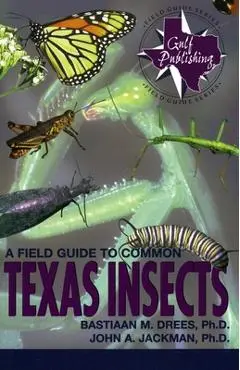A Field Guide to Common Texas Insects - Bastiaan M. Drees