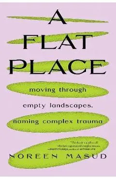 A Flat Place: Moving Through Empty Landscapes, Naming Complex Trauma - Noreen Masud