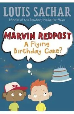 A Flying Birthday Cake - Louis Sachar