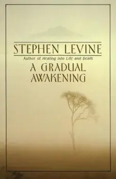A Gradual Awakening, Paperback/Stephen Levine