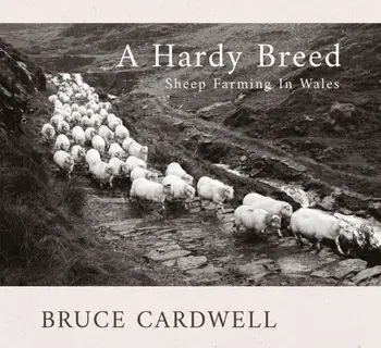 A Hardy Breed, Paperback/Bruce Cardwell