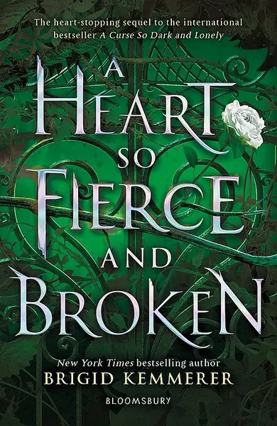 A Heart So Fierce and Broken