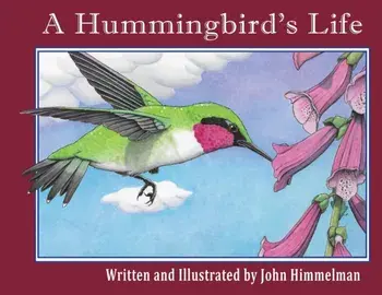 A Hummingbird's Life, Paperback/John Himmelman