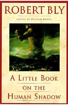 A Little Book on the Human Shadow - Robert Bly