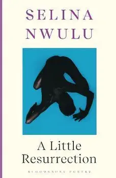 A Little Resurrection, Paperback/Selina Nwulu