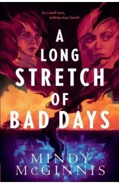 A Long Stretch of Bad Days - Mindy Mcginnis