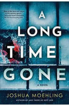 A Long Time Gone - Joshua Moehling