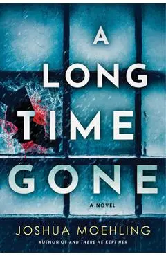 A Long Time Gone - Joshua Moehling