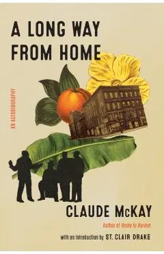 A Long Way from Home - Claude Mckay