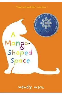 A Mango-Shaped Space - Wendy Mass