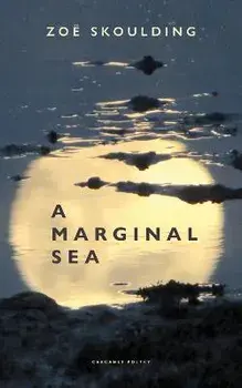 A Marginal Sea, Paperback/Zoe Skoulding