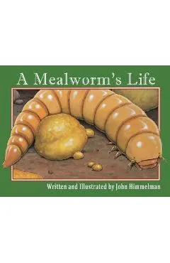 A Mealworm's Life - John Himmelman