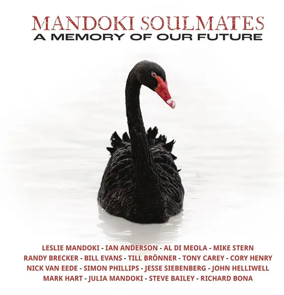 A Memory Of Our Future - Vinyl | Mandoki Soulmates