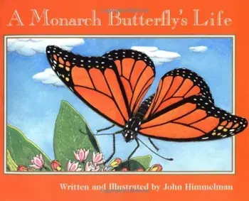 A Monarch Butterfly's Life, Paperback/John Himmelman
