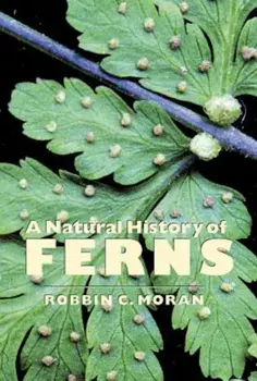 A Natural History of Ferns, Paperback/Robbin C. Moran