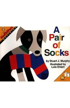 A Pair of Socks - Stuart J. Murphy