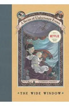 A Series of Unfortunate Events #3: The Wide Window - Lemony Snicket