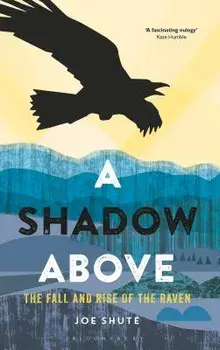 A Shadow Above: The Fall and Rise of the Raven, Paperback/Joe Shute