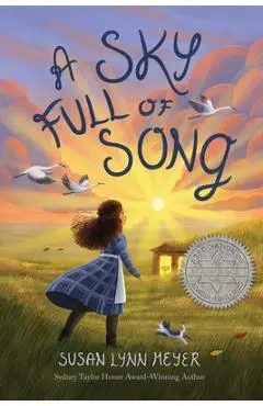A Sky Full of Song - Susan Lynn Meyer