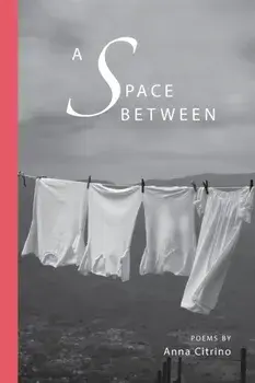 A Space Between, Paperback/Anna Citrino