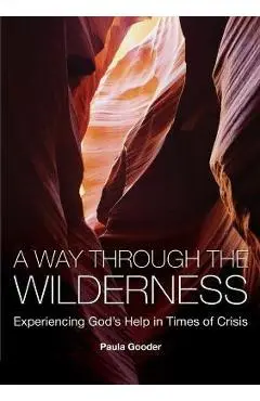 A Way Through the Wilderness: Experiencing God's Help in Times of Crisis - Paula Gooder