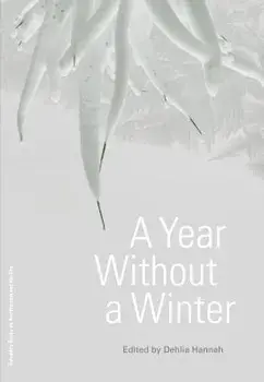 A Year Without a Winter, Paperback/Dehlia Hannah