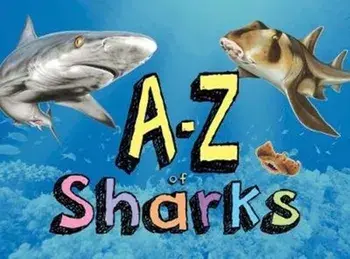A-Z of Sharks. The alphabet of the shark world, from Angel Shark to Zebra Shark, Hardback/Paula Hammond