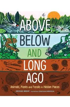 Above, Below and Long Ago: Animals, Plants and Fossils in Hidden Places - Michael Bright